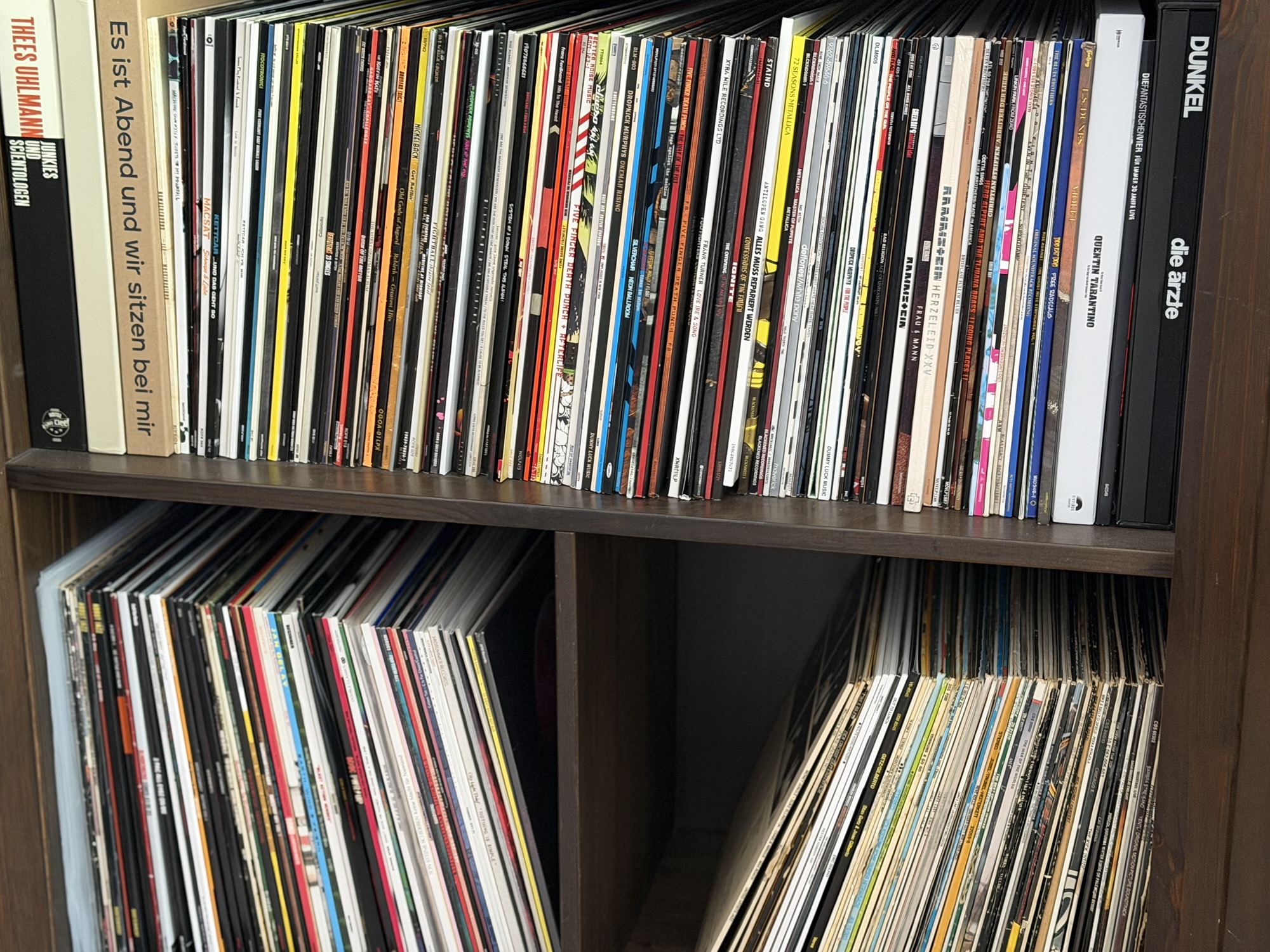 Von Digital zu Analog – Musik, Vinyl und warum wir wieder zurückgehen